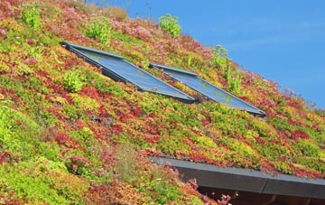 Leziate living roof systems