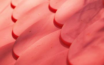 Leziate plastic roof costs