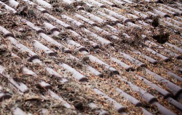 Leziate roof cleaning companies