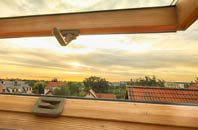rated Leziate roof window companies